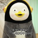 청원여자고등학교 이미지