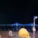 숯탄 | [부산 수영구, 광안리] 조새호 조개구이 맛집 추천 솔직 후기 불꽃축제 드론쇼 광안대교 예약 주차
