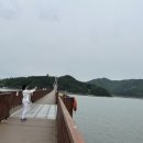 강진만해양레저