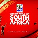 [리뷰] 2010 피파 남아공 월드컵 이미지