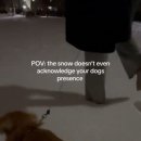 작고 소중해 이미지