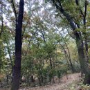 봉제산 등촌동 숲속놀이터 이미지