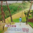 TV조선 박종인의 땅의역사ㆍ가문의 명당 쟁탈전 이미지
