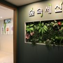 숲속세신 이미지