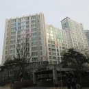 선운해광 이미지