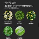 폴샤인헤어
