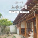 노송오재