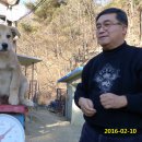 사랑애견 이미지