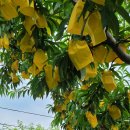 감곡2농장 이미지