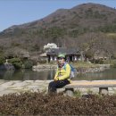 아리랑동백숲