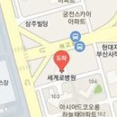 사단법인 부산의료선교회 세계로병원 이미지