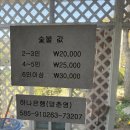 강화도하이맘키즈스파펜션 옐로 이미지