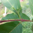 영하슈퍼 이미지