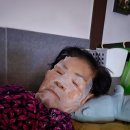 신다팩 이미지