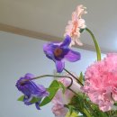 남양토담오리 | 부산 대연동 &#39;남양토담오리&#39; 후기 (23.06.13)