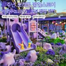 씨제이올리브영(주) 올리브영 N 성수 | 포켓몬 30주년 팝업스토어 후기 메타몽놀이터 올리브영N성수