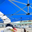 대송면행정복지센터 이미지