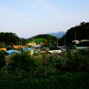 조안1리 마을회관 이미지