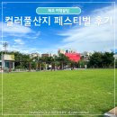 제주 컬러풀산지 페스티벌 쿠키런 산지천 축제 후기
