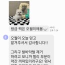 브로콜리의 목욕탕 이미지
