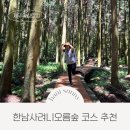 남원읍 신례리 834-2 | 한남시험림 한남사려니오름숲 탐방 예약방법 소요시간