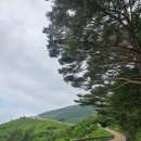 민둥산840S 네이버블로그