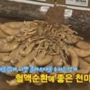 천마니 이미지