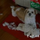 포토샵으로 내 사진 꾸미기 이미지