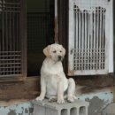 볼트