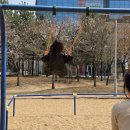 아카시아병원 | 3월 3주 - 4주 : 오늘 밤 이 세계에서 회사가 사라진다면