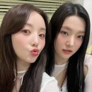 위클리 공식 트위터 (퀸덤퍼즐 <b>소울메이트</b> 온리원 케이)