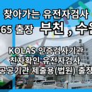 다우법무사