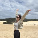 동물원야식 | [신혼여행] 브리즈번에서 시드니로🐬 (돌핀피딩,스노쿨링,론파인동물원,사우스뱅크)