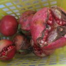 범은농장 이미지