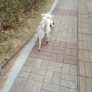 콩이PC 이미지