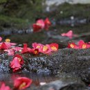 안덕계곡 앞 4 이미지