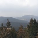 거문민박 이미지