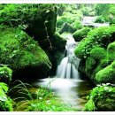 지리산편의점