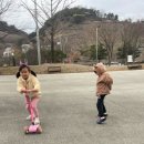 금병공원 유아숲체험원 이미지