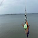 남당항(선착장) 이미지