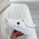 화이트앤스타