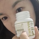 리치빈스 | 성분 좋은 콩화장품 빈스캐빈 녹두콩 수분크림 후기오일프리수분크림 찾는다면 추천하는 비건수분크림