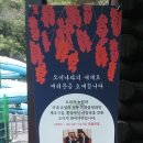 힐링푸드벨리 이미지