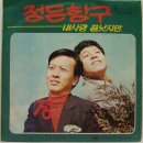 아픈 상처의 밤 / 김아성 (1970) 이미지