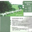 효석목장 | 2025년 평창 지역 입장할인권 안내입니다!^ㅁ^)/