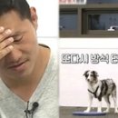 개통령 이미지