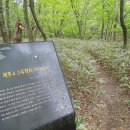 제주산전