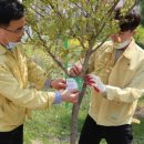 금촌유아숲체험원 이미지