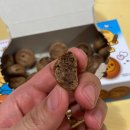 홈플러스 가성비 좋은 당당치킨 두마리옛날통닭과 빠삐코 칸쵸 맛 후기