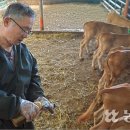 김창순농장 이미지